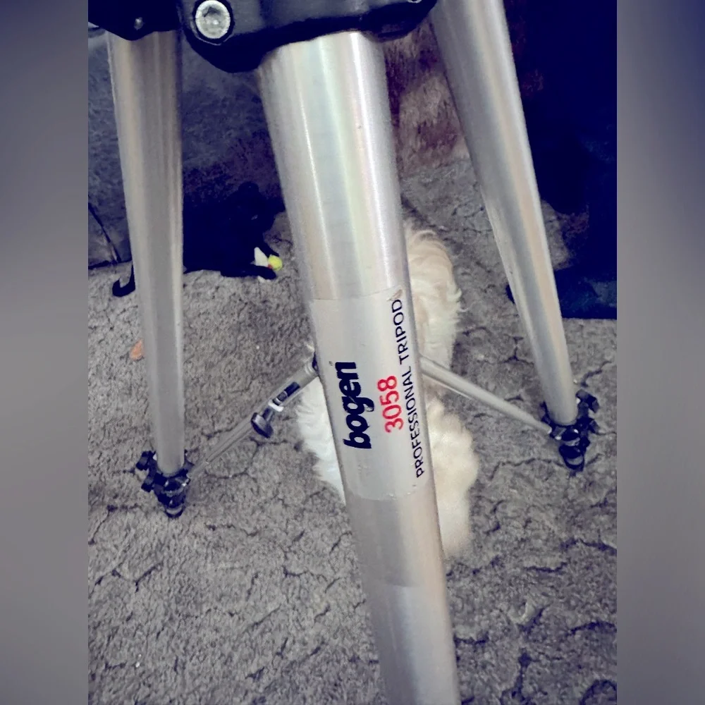Professional Bogen Tripod